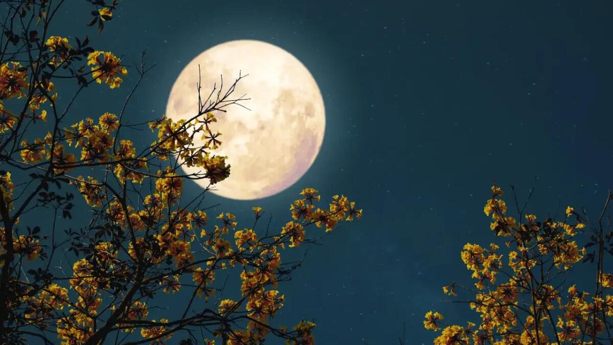 La Luna si arrugginisce grazie al vento terrestre - 