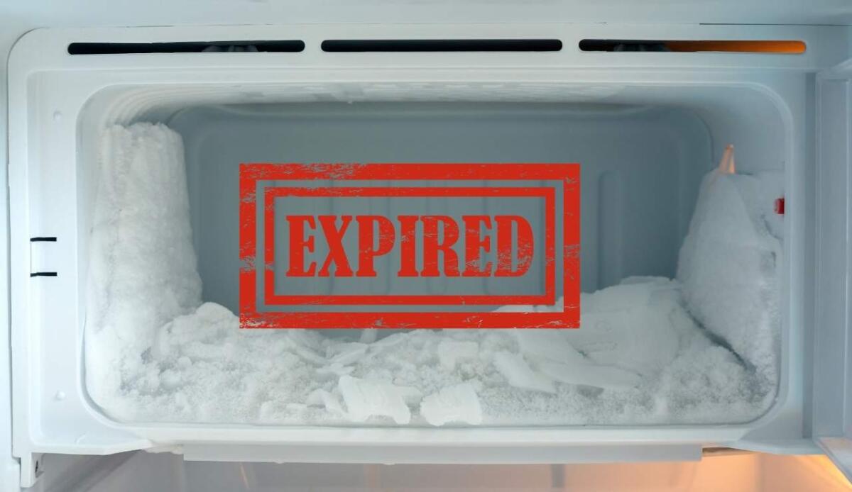 Che temperatura c'è nel freezer? Questa è quella corretta - Scade tutto (canva.com) - www.guidamamme.it