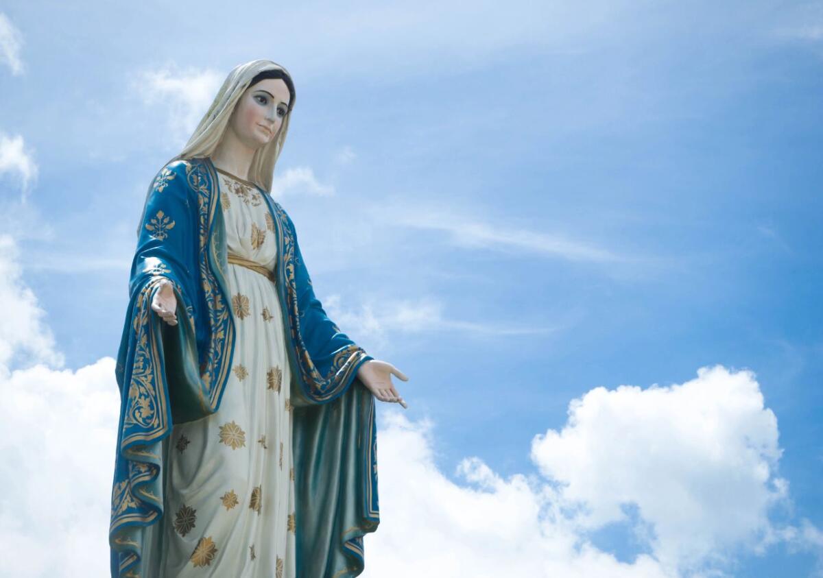 Festa dell'Immacolata Concezione: aforismi e citazioni dedicati all’8 dicembre - 