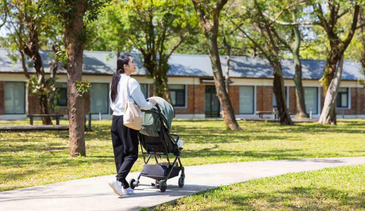 Passeggino 2 in 1 leggero e reversibile: guida completa per i genitori - 