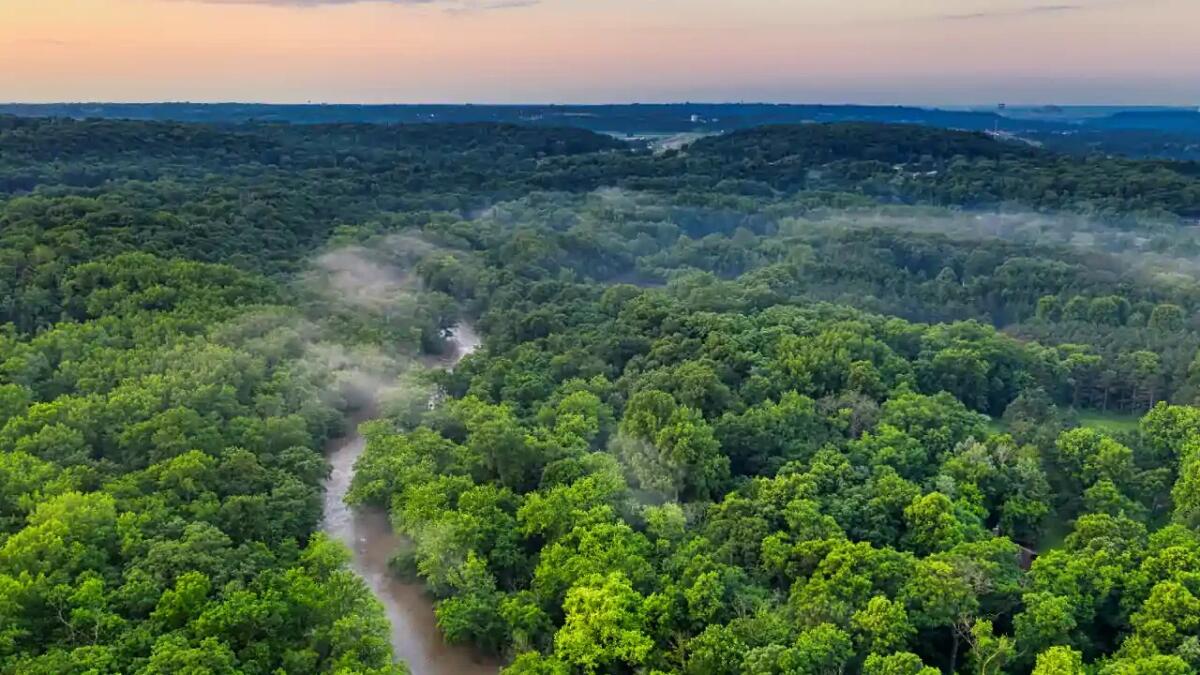 Arturo Gómez-Pompa, lo scienziato che ha riscritto la storia delle foreste tropicali - 