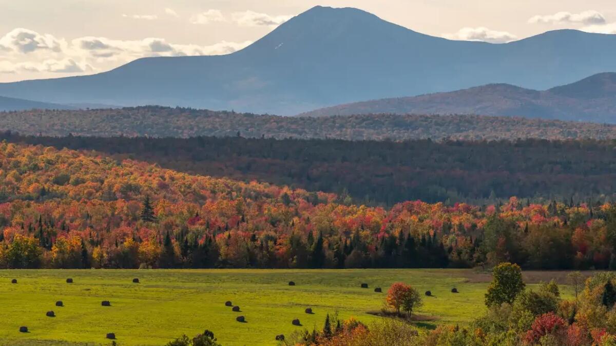Viaggio negli USA tra fattoria e alta cucina: il ristorante nel campo che valorizza il territorio del Maine - 