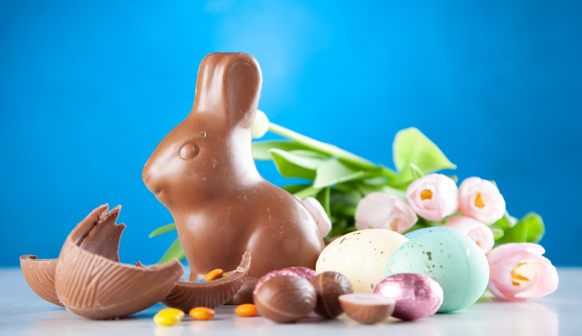Quanto ci mette un coniglio a produrre 1.000 uova di cioccolato? - Conigli di cioccolato (Canva foto) - Immagine a scopo illustrativo - www.qrios.it