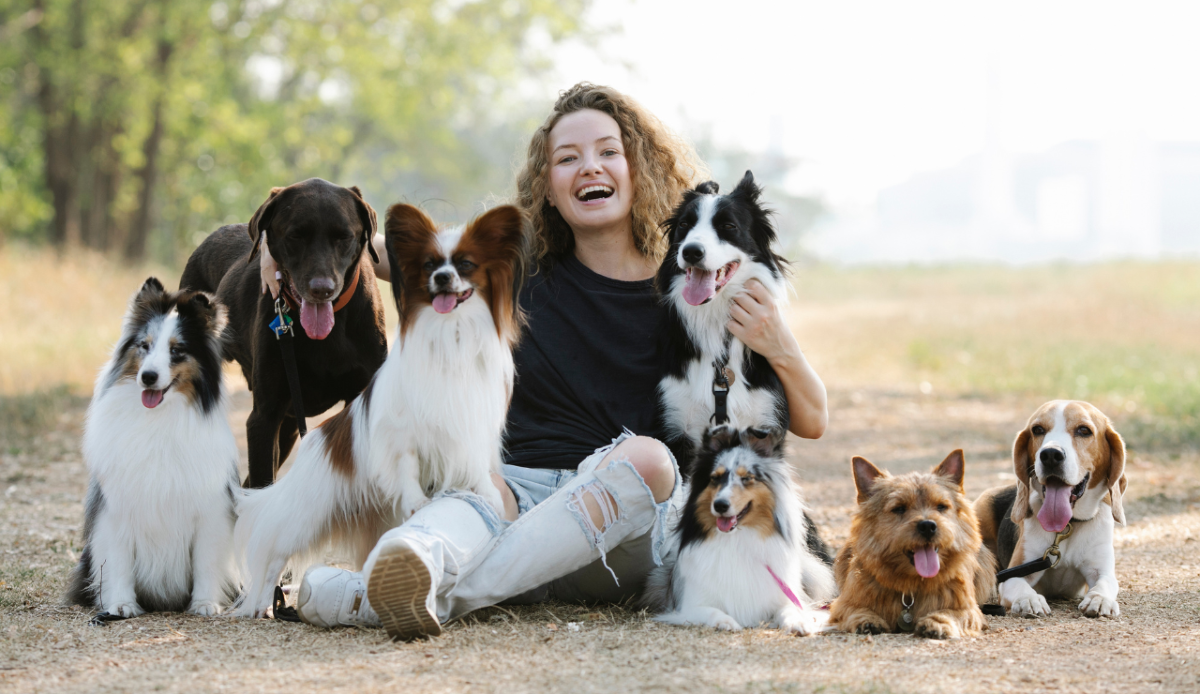 Giornata mondiale del cane: esistono due verisoni sulle sue origini - Canva