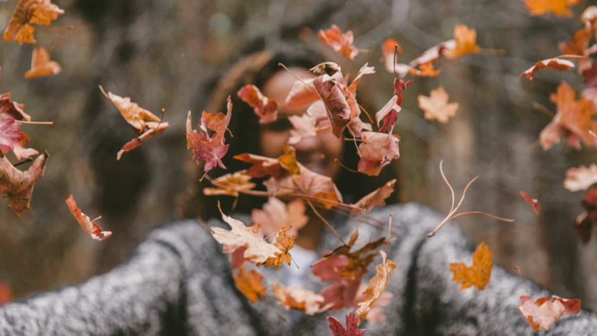 Frasi d’autunno da dedicare per il buongiorno, agli amici e in amore - Canva